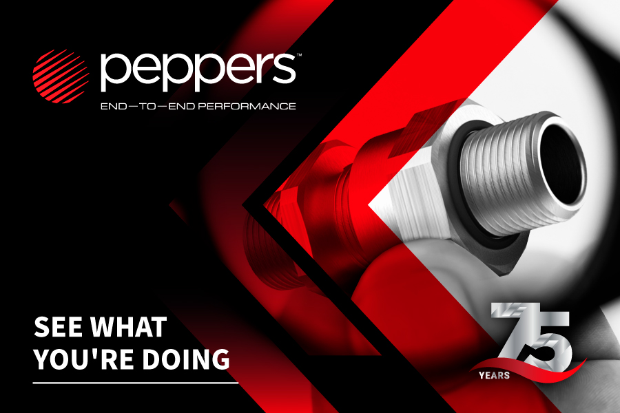 Enhance Project Continuity with Peppers Eclipse™ Range